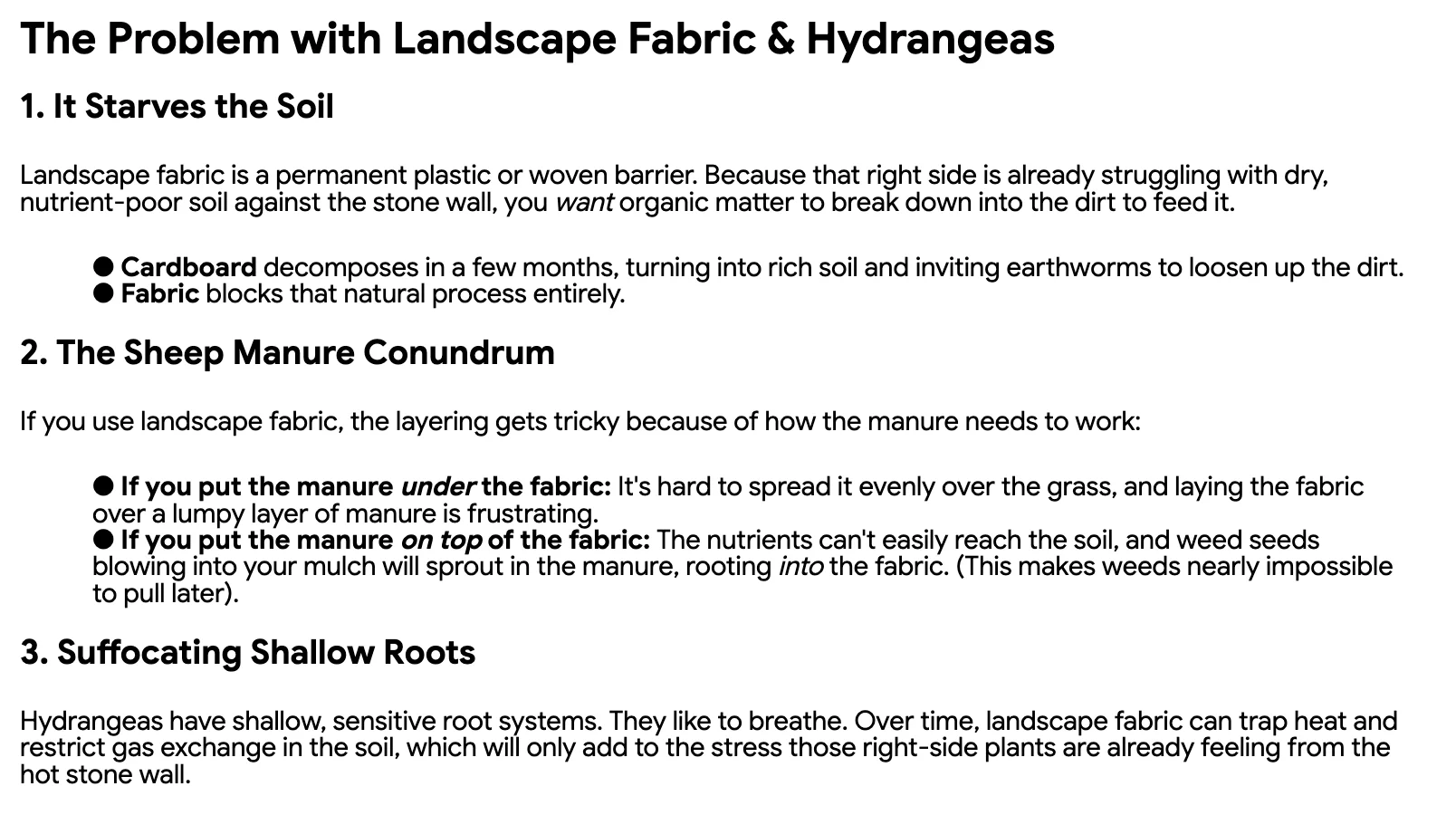 The response Google Gemini gave when asking why one can't use landscape fabric for hydrangeas